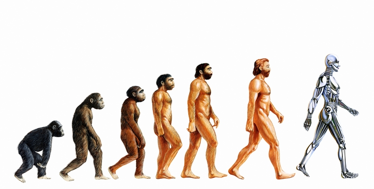 Human Societal Evolution
